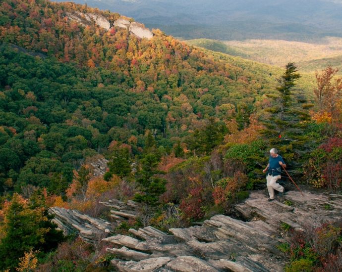 9 places to see fall foliage in the U.S.—and none are in New England
