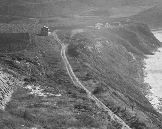 Why the mafia fought a bicoastal gang war over artichokes