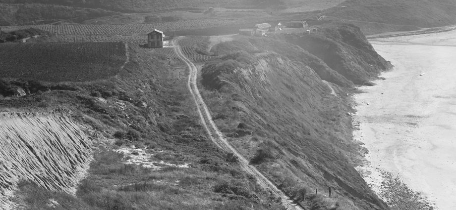 Why the mafia fought a bicoastal gang war over artichokes