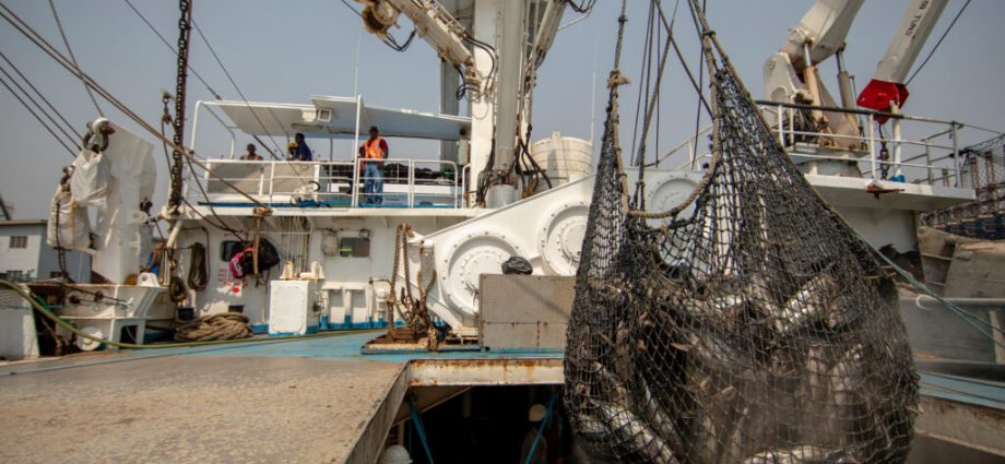 human-impacts-on-ocean-could-double-or-triple-by-2050,-a-new-uc-santa-barbara-study-warns