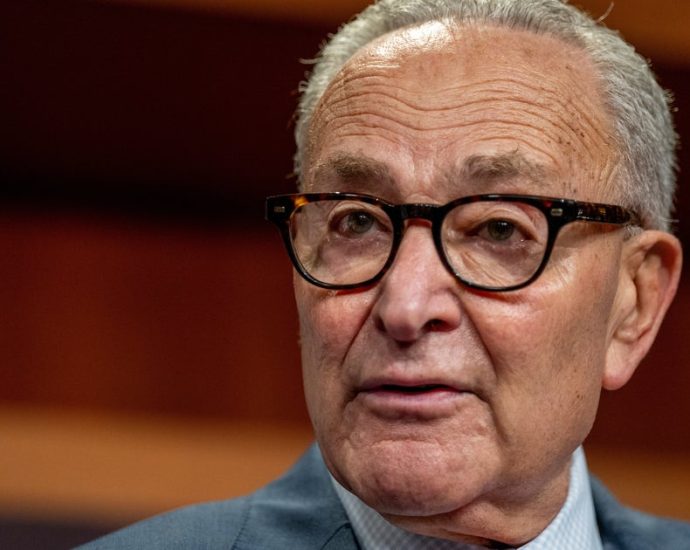 democrats-running-for-senate-to-schumer:-don’t-give-in-on-government-funding