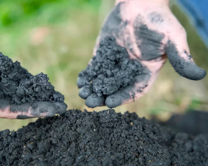 biochar’s-secret-power-could-change-clean-water-forever