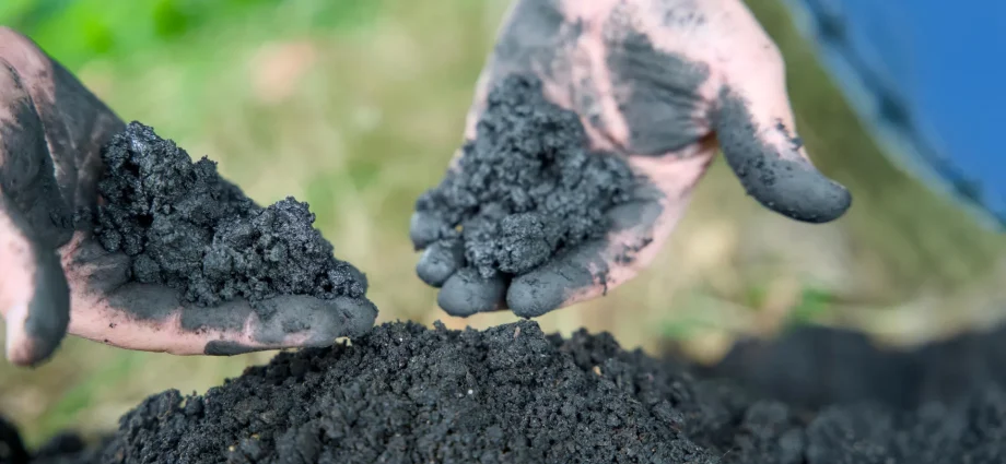 biochar’s-secret-power-could-change-clean-water-forever