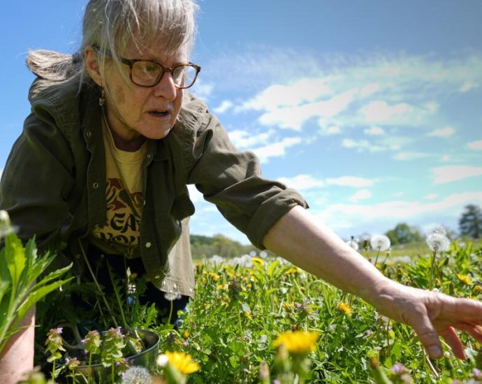 foraging-revival:-how-wild-food-enthusiasts-are-reconnecting-with-nature