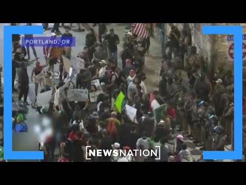 the-traitor’s-domestic-terror-crackdown-‘not-unusual’:-walder-|-newsnation-live