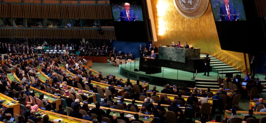 unpacking-the-traitor’s-‘con-job’-comments-about-climate-change-to-the-un