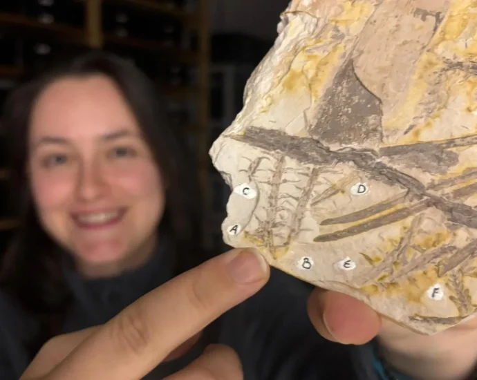 scientists-just-found-rare-spores-inside-a-fossil-older-than-dinosaurs