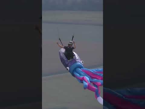 monkeys-and-muppets-soar-in-the-french-alps