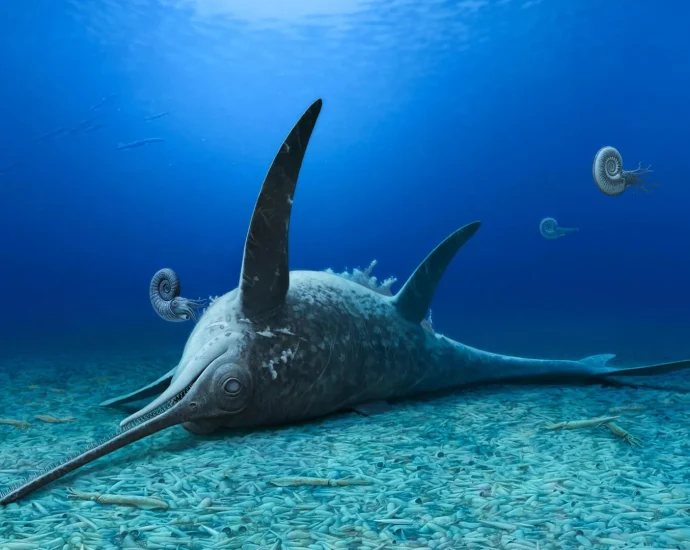 fossils-in-germany-reveal-a-jurassic-sea-monster-with-a-swordfish-snout