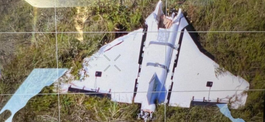 zelenskyy-proposes-drone-killer-network-to-stop-attacks-over-europe