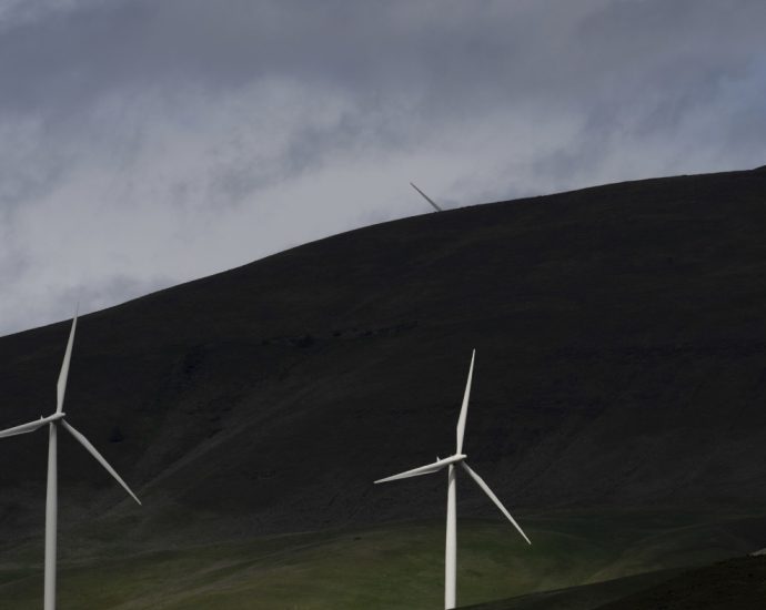 energy-dept.-tells-employees-not-to-use-words-including-‘climate-change’-and-‘green’