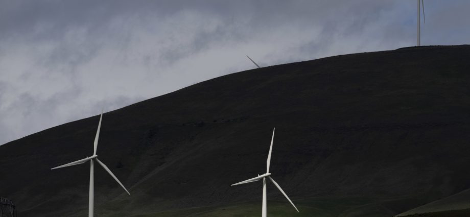 energy-dept.-tells-employees-not-to-use-words-including-‘climate-change’-and-‘green’