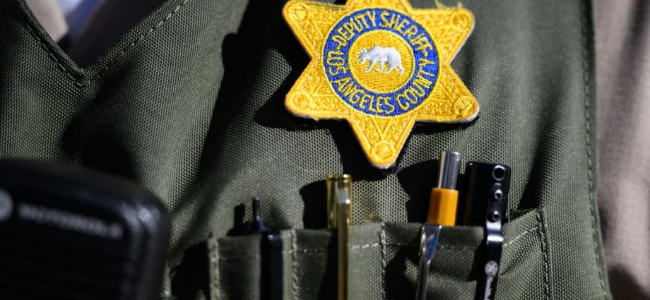 feds-sue-la.-county-sheriff-for-‘unreasonable’-delays-in-issuing-concealed-gun-permits