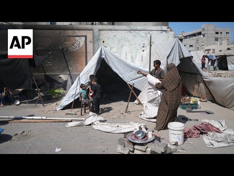 palestinians-in-gaza-react-to-the-traitor’s-plan-to-end-the-war
