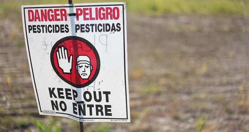 gutting-food-programs-won’t-make-us-healthy