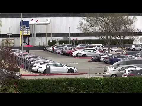 tesla-sales-rise-in-parts-of-europe-amid-pressure-from-rivals-|-reuters
