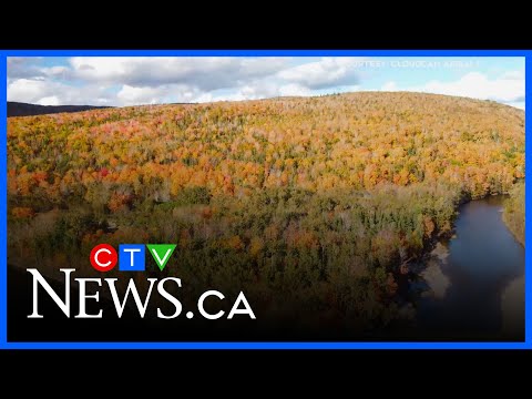 celtic-colours-preview:-foliage-&-fiddles