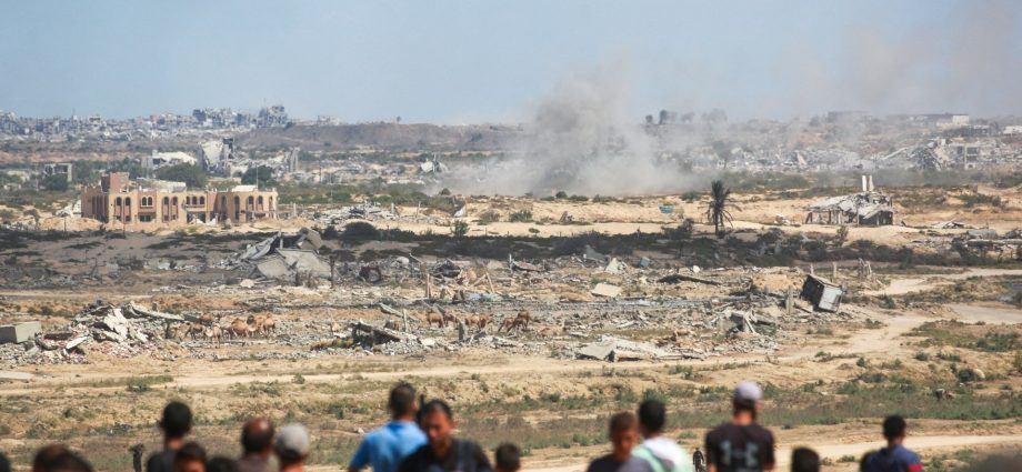 stranded-in-gaza,-i-risk-losing-my-uk-scholarship-as-evacuation-stalls