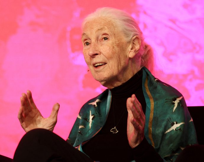 renowned-chimpanzee-researcher-jane-goodall-dies-at-91