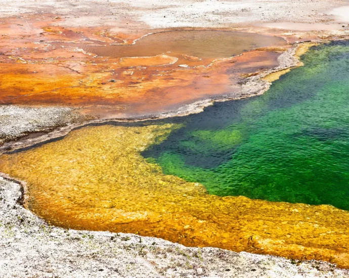 japan’s-hot-springs-hold-clues-to-the-origins-of-life-on-earth