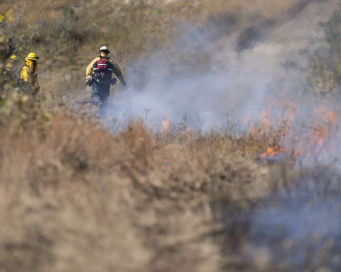 shutdown-sows-‘confusion’-across-the-forest-service