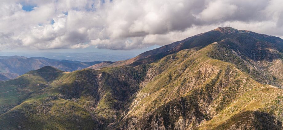 proposal-to-undo-roadless-rule-would-open-some-of-southern-california’s-last-wild-forests-to-development