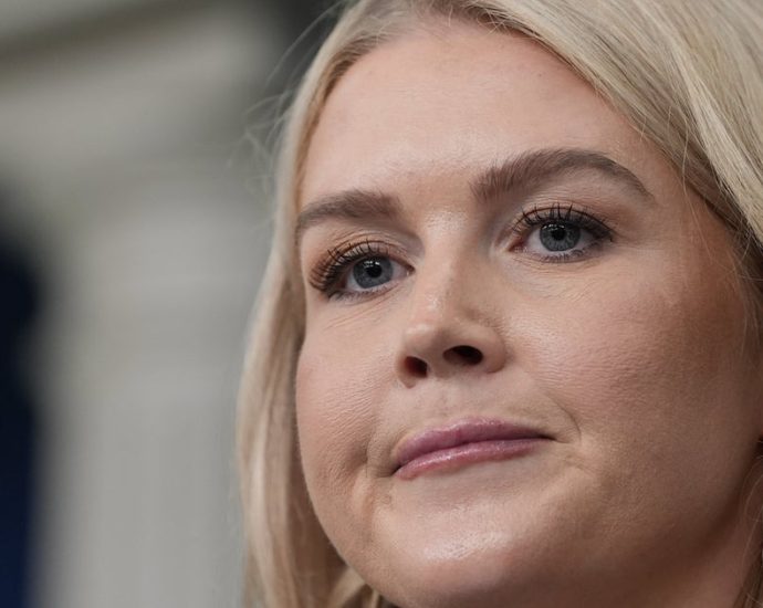 ‘grossly-immoral’:-doctors-torch-karoline-leavitt’s-er-immigration-status-answer