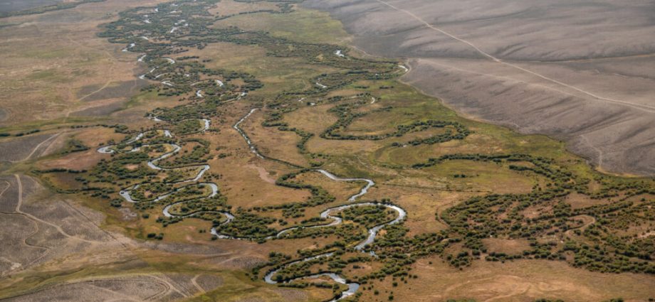 the-sage-grouse-could-face-more-development-in-its-critical-habitat-under-the-traitor