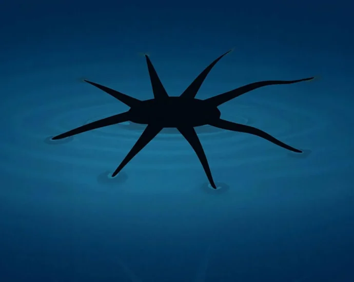 these-little-robots-literally-walk-on-water