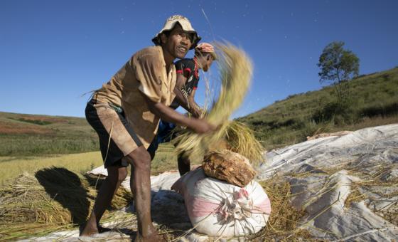 un-agencies-warn-of-rising-heat-stress-risks-for-workers-worldwide
