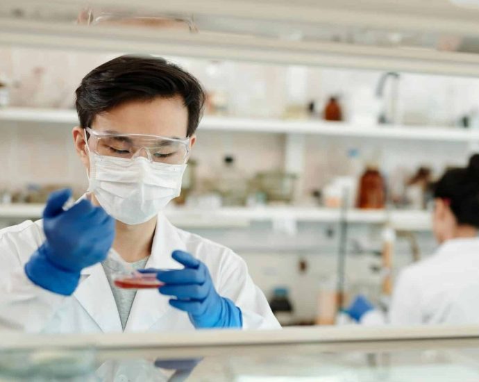 scientists-create-human-embryos-using-skin-cells,-a-step-toward-same-sex-conception