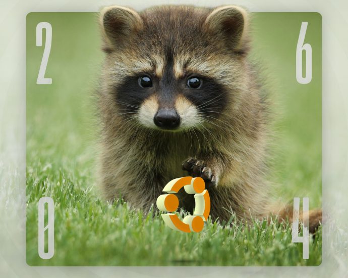 ubuntu-reveal-codename-of-next-year’s-26.04-lts