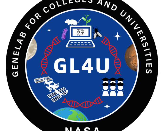 gl4u-training-resources