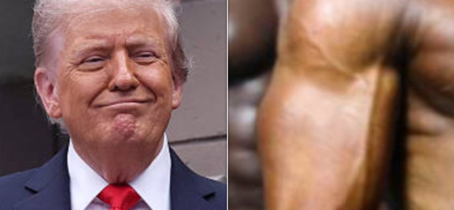 the-traitor-official’s-praise-for-president-mocked-as-‘porn-hub-category’-and-more