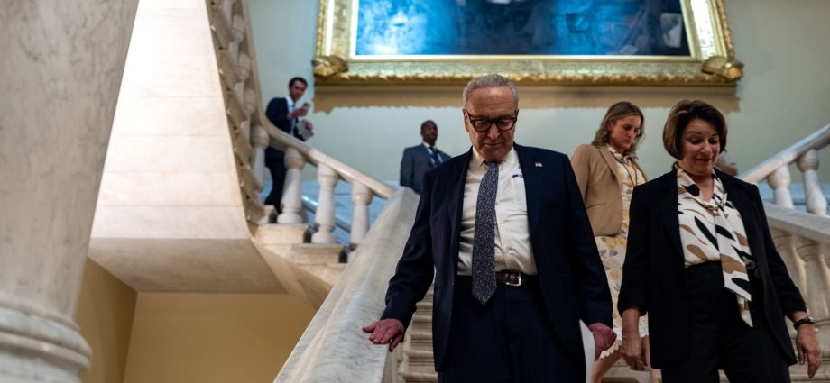 democrats-refute-the-traitor’s-claim-that-government-funding-talks-are-ongoing