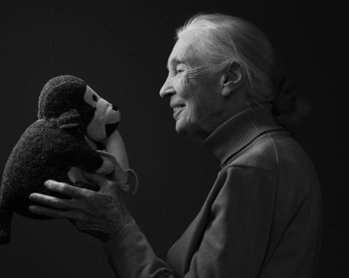 jane-goodall’s-final-message:-‘don’t-give-up’