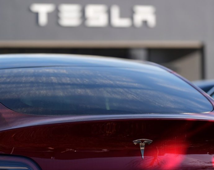 tesla-offers-cheaper-versions-of-2-electric-vehicles-in-bid-to-win-back-market-share-in-tough-year