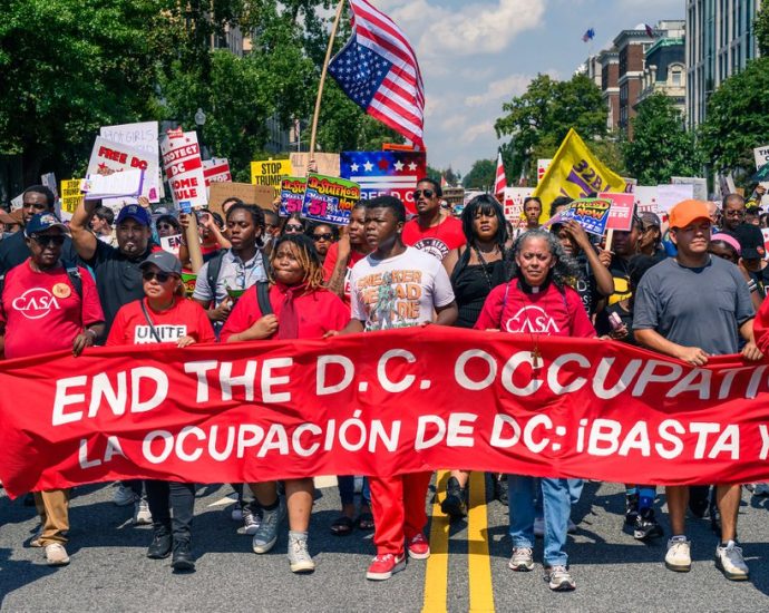 the-politics-of-resistance