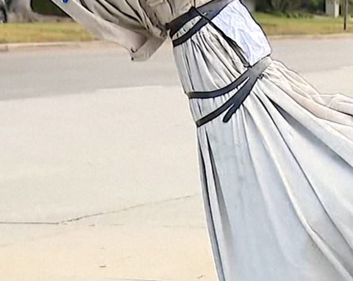 stolen-dinosaur-named-claire-returned-with-apology-note