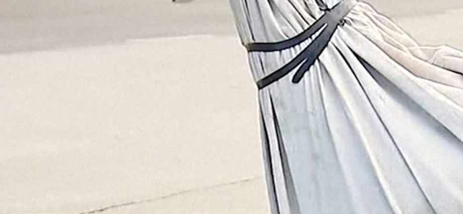 stolen-dinosaur-named-claire-returned-with-apology-note