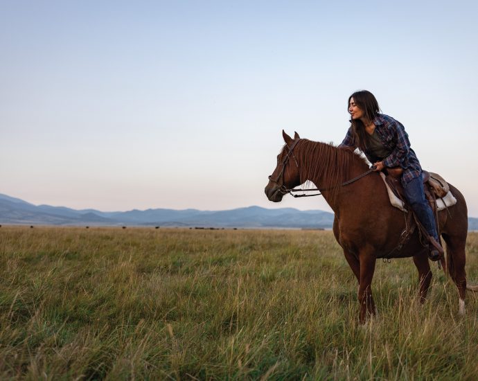 what’s-it-like-to-be-a-cow?