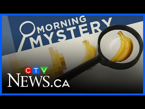 try-to-guess-what-lager-this-is