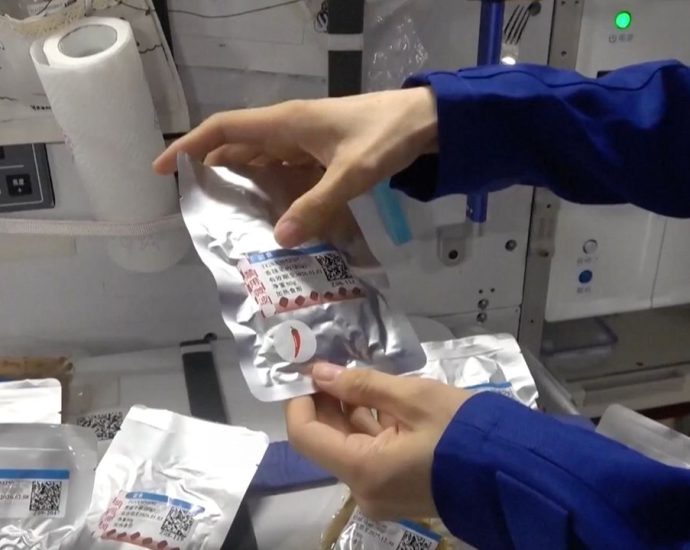 Chinese space station astronauts feast on spicy lamb, mooncakes for mid-autumn festival (video)