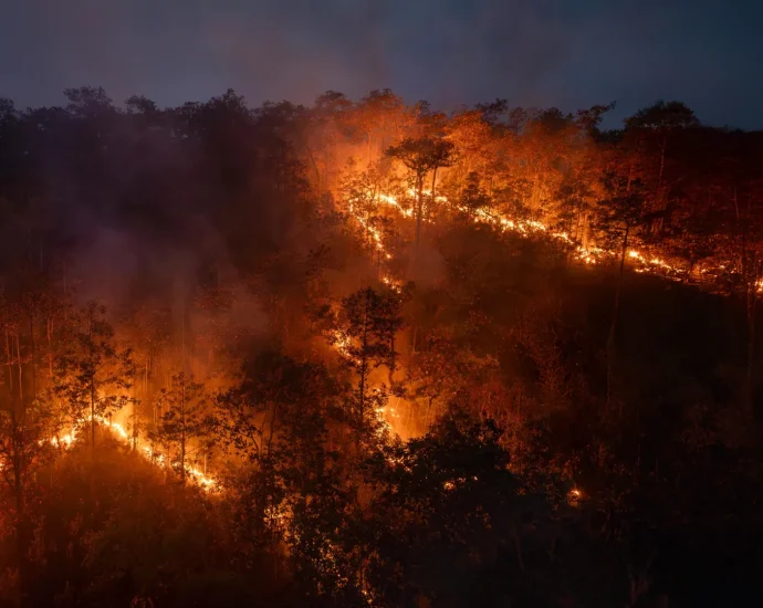 record-amazon-fires-release-more-carbon-than-an-entire-country