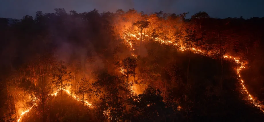 record-amazon-fires-release-more-carbon-than-an-entire-country