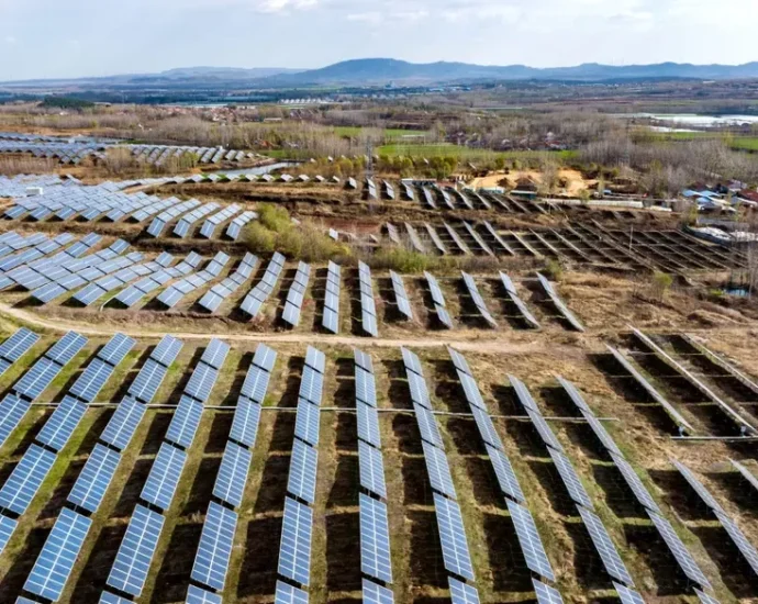 as-the-traitor-champions-fossil-fuels,-the-world-bets-on-renewable-energy