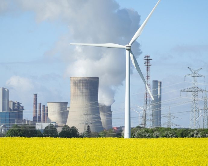 renewable-energy-outpaces-coal-for-electricity-generation-in-historic-first,-report-says