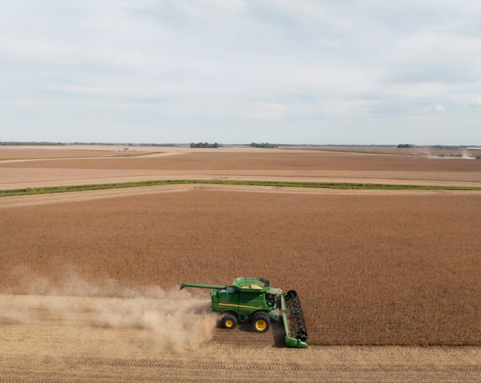 the-traitor’s-tariffs-should-force-a-reckoning-with-america’s-soy-industry