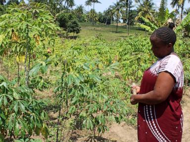 in-kenya,-a-search-for-links-between-a-changing-climate-and-mental-health