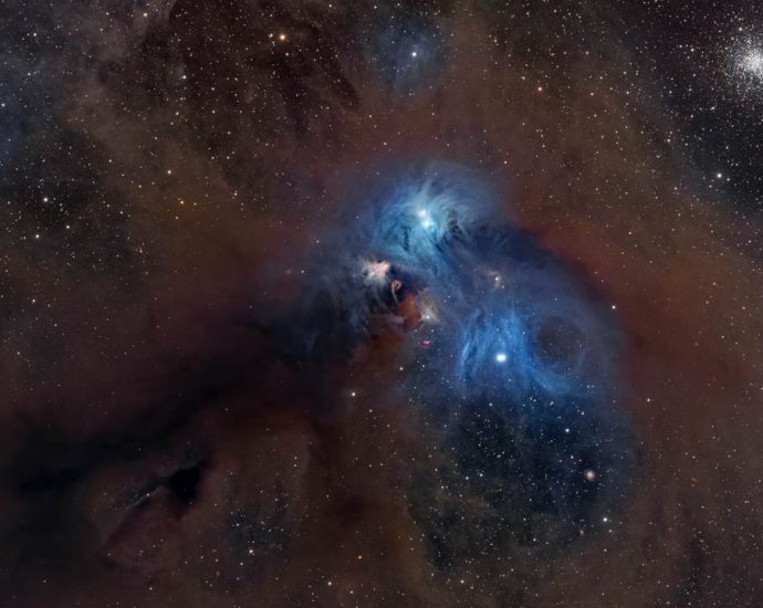 Cosmic baboon rampages through deep space in gorgeous new nebula photo